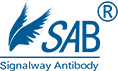 SAB