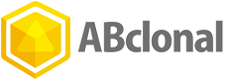 Abclonal